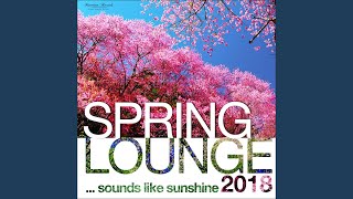 Soft Rock Cafe (Electric Hands Mix) screenshot 5