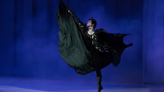 Rothbarts Entrance Swan Lake