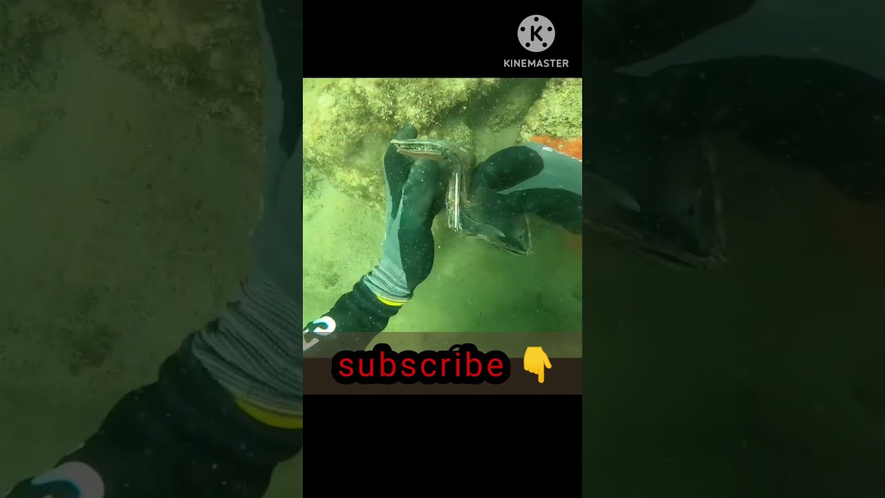 found wallet with cash and ATM card from water depth|| 