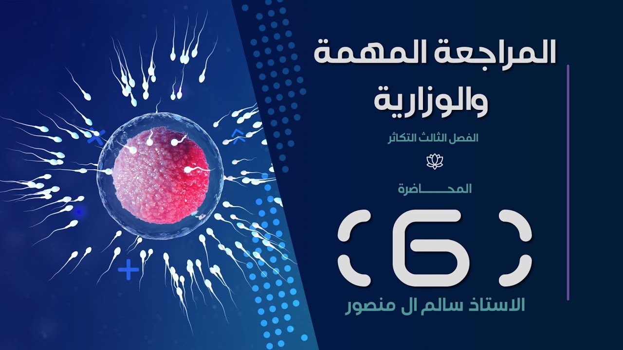 المراجعة( الفصل الثالث ) | المحاضرة الـ 6.