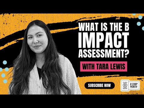What is the B Impact Assessment? | With Tara Lewis of Dashly