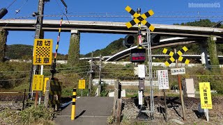 2020.11.14　中央線「新井踏切」　211系普通甲府行き　Chuo Line Arai railroad crossing