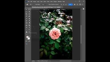 How to clear on fade image