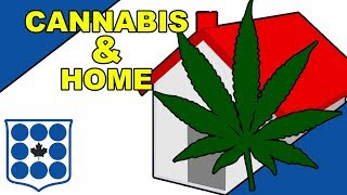 Ask an Expert: Cannabis and the Home with Abby Deshman