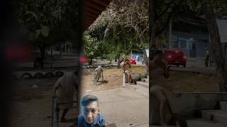 Grandma's ghost prank at night #horror #funny #reaction