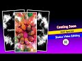 Holi coming soon video editing in capcut | Holi special status video editing | Holi status 2025