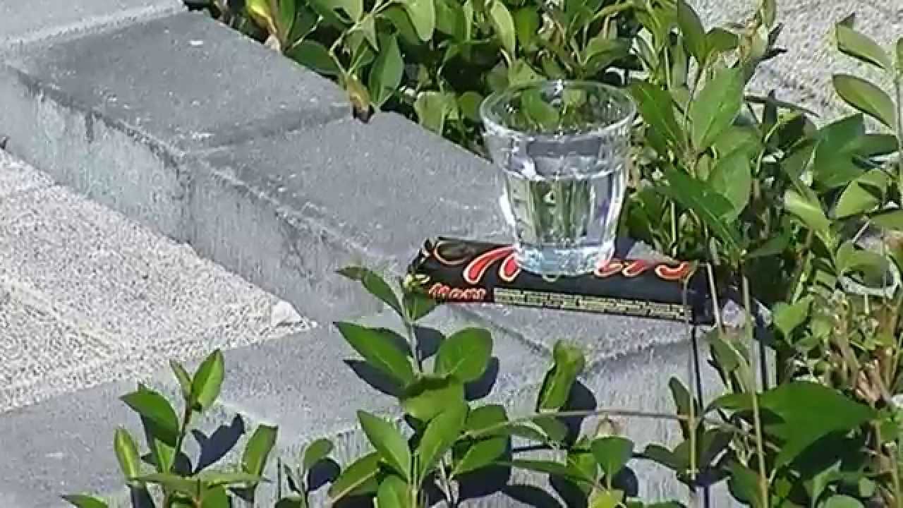 VTIS findet Wasser auf dem Mars dank AXIS‬ Q6115-E ;o)