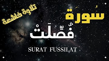 سورة فصلت | ولكم فيها ما تشتهي أنفسكم