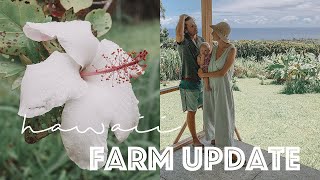 Our Hawaii FARM UPDATE ✺ what's growing + building projects