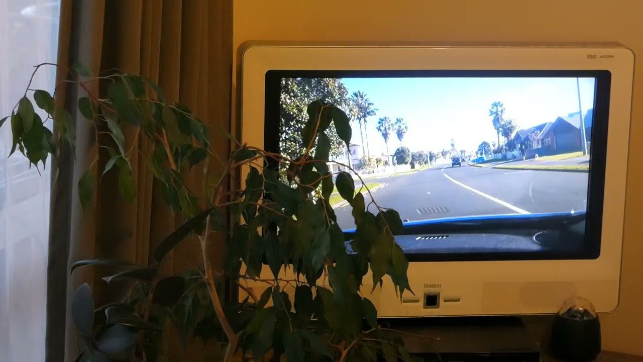 Play Me (Neil Diamond) by Wozza