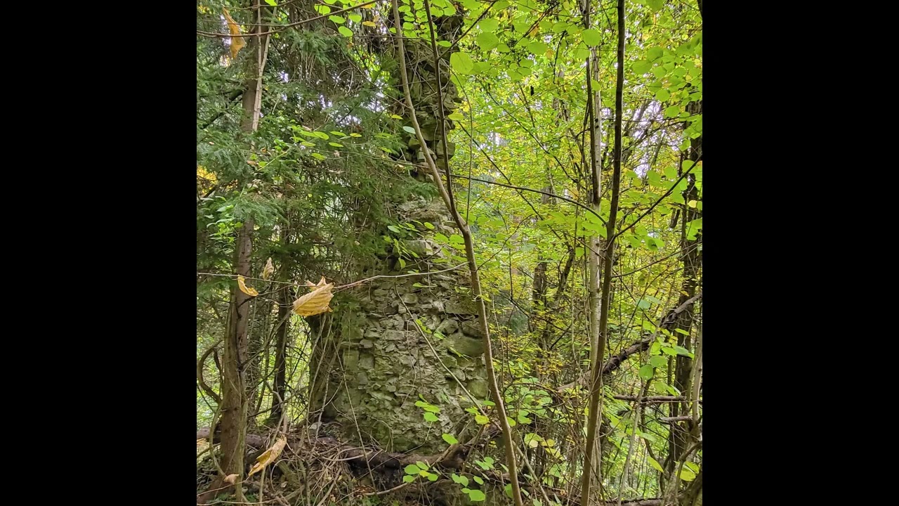 Burgruine Perwarth – Obere Burg     A-3263 Randegg