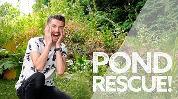 Pond Rescue! | The Hozelock Pond Vac & EasyClear Pump