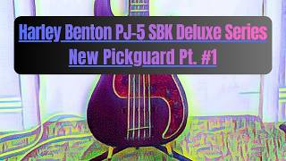 The Custom Pickguard
