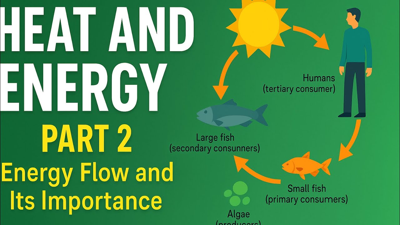 Energy Flow, Laws of Thermodynamics, Renewable & Non-Renewable Sources, Energy Degradation