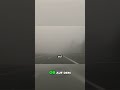 Gefährlicher Nebel im Januar: So überstehst du die Monate