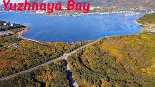 видео: бух. Южная картинка: бух. Южная