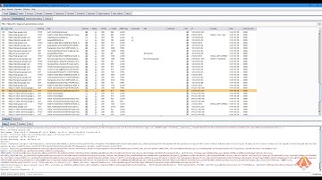 Hướng Dẫn Sử Dụng BurpSuite Kết Nối WebSite HTTPS