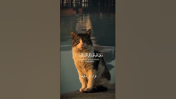 قران كريم ارح قلبك وسمعك #قران_في_دقيقة #quran #المصحف #قران @قران_في_دقيقة #اسلام_صبحي