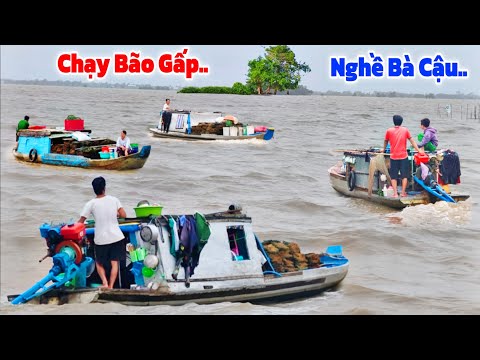 Bão LŨ ầm ầm tới NÓC" dân TỨ XỨ CHẠY trúng đậm mùa Cá CHẠCH Đồng