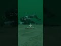 When You Fail in Arma 3 (Operation Trebuchet)