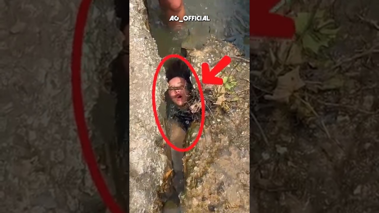 Original Title & Thumbnail