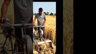 gehu katne ka desi jugad 🙏🤔 #shorts #trending #viral