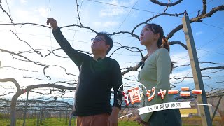 【番宣してみた】酒 ジャーニー ~鉄道で行く呑み旅~ #01【PR】