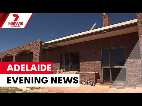 Gus Lamont search continues, horror head-on crash, alleged arsonist fighting for life | 7NEWS