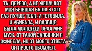 видео: Ты дерево, а не жена! Вот моя бывшая была в сто раз лучше тебя: и готовила, и убирала, и вообще была картинка: Ты дерево, а не жена! Вот моя бывшая была в сто раз лучше тебя: и готовила, и убирала, и вообще была
