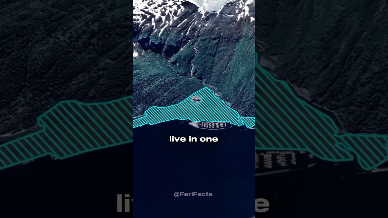 The City Where Everyone Lives in One Building 