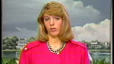 Theresa Bruce clip WJWJ TV Beaufort SC
