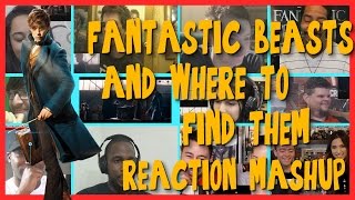 Fantastic Beasts and Where to Find Them - Teaser Trailer - Reactions Mashup