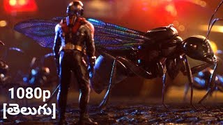 Ant-Man Escapes From Jail  - Ant-Man (2015) (Telugu scene) [Classic Scenes]