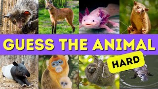 Guess The Animal Quiz - Animal Guessing Game - Animals Quiz - Picture Quiz with Answers screenshot 1