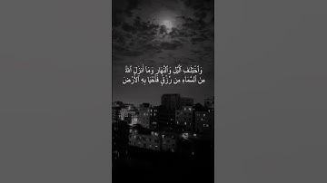 #تلاوة_خاشعة #قرآن #المصحف #راحة_نفسية #قطر #اكسبلور #قران_كريم #صلاة #القرآن_الكريم #تلاوات #تلاوة