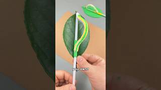 Diy Realistic Caterpillar Craft With Leaf And Straw