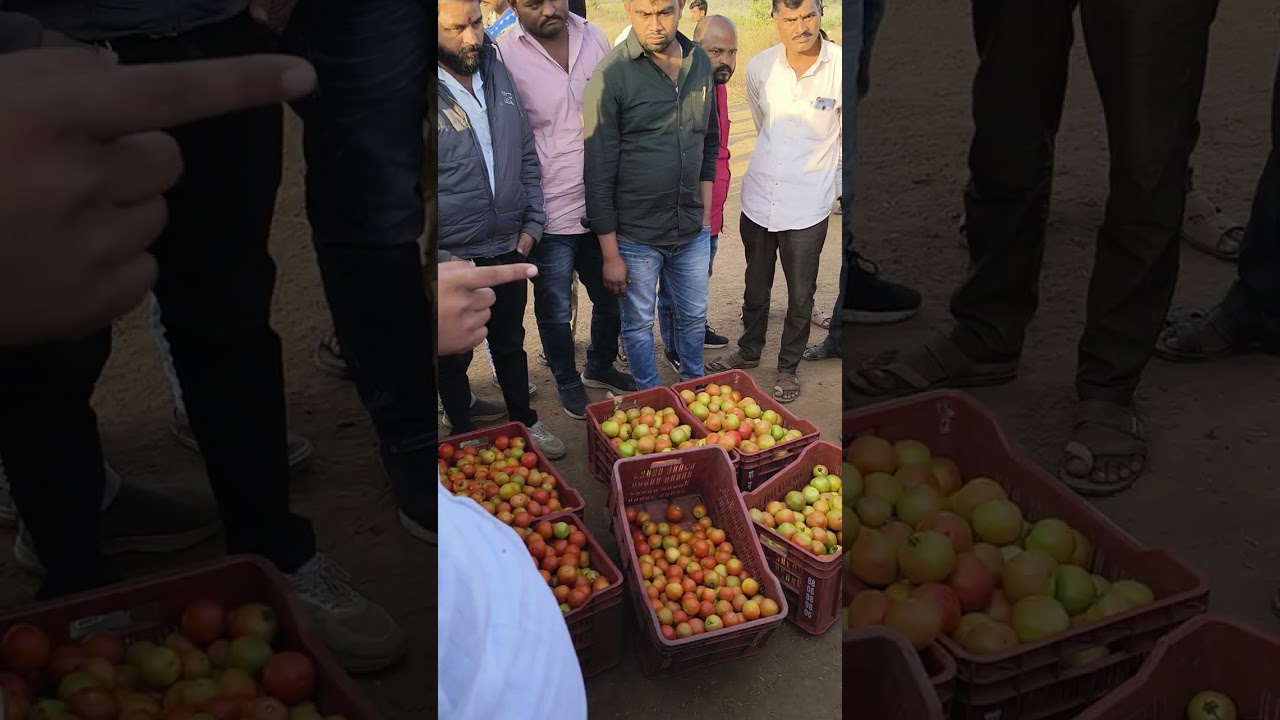 छत्रपति संभाजी नगर कन्नड़ मार्केट 👑🍅🍅👑🎊🎊 