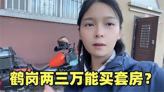 妹子摩旅来到东北鹤岗两三万买套房太便宜了看完规划和物价心动了