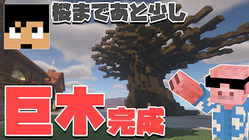 マイクラめんワールド桜