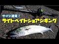【LSJ】ライトベイトショアジギングでサゴシを狙う!!!Light bait shore jigging