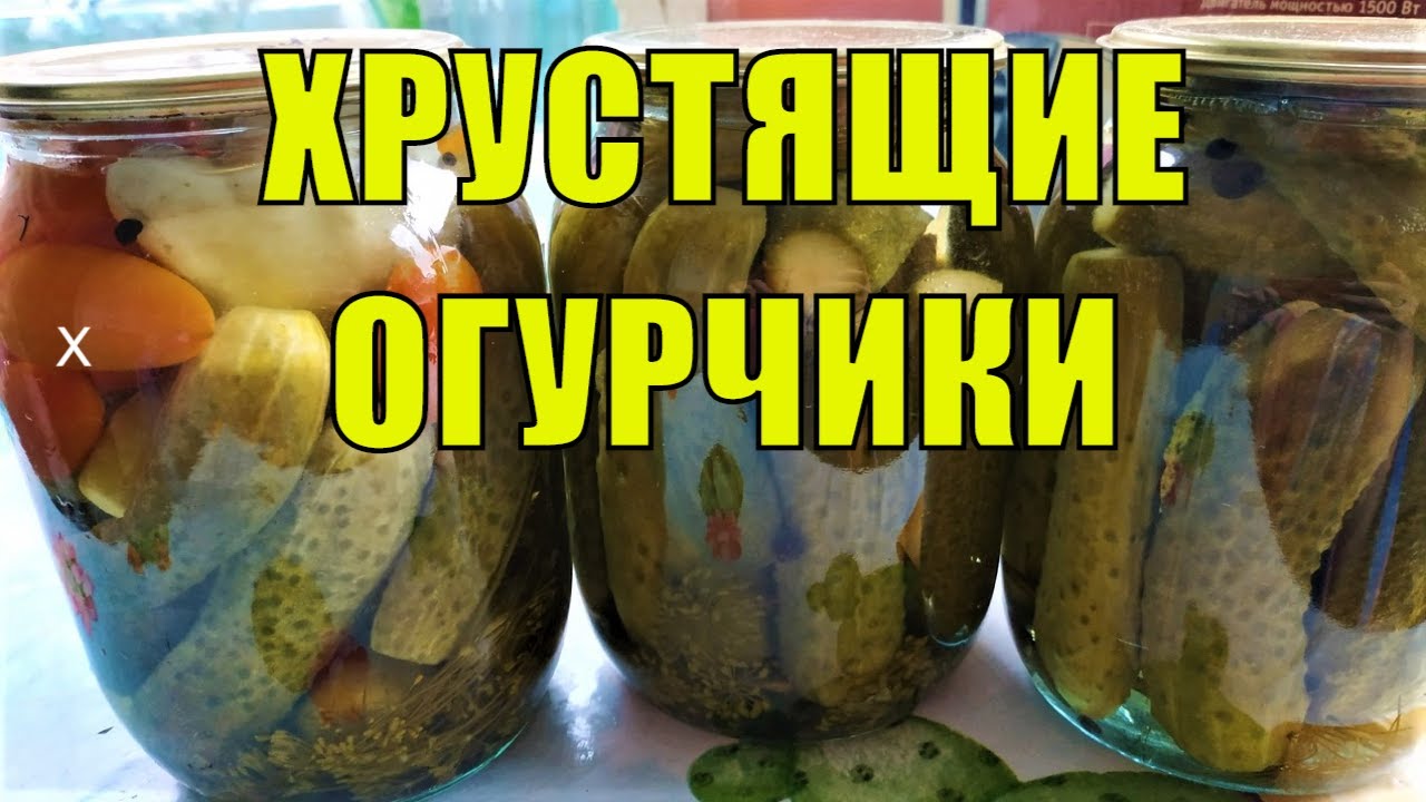 Рецепт хрустящих маринованных огурцов на зиму без стерилизации ...