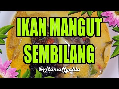 resep-masakan---masak-ikan-mangut-sembilang,-paling-enak