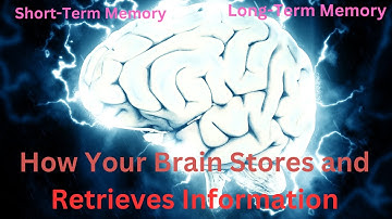 How Your Brain Stores And Retrieves Information: The Science Behind Our Memory