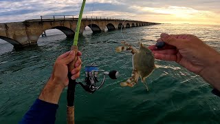 I Caught This Crab and it Gets Smoked At the Bridge!! Florida Keys Fun Fishing and Exploring!!!