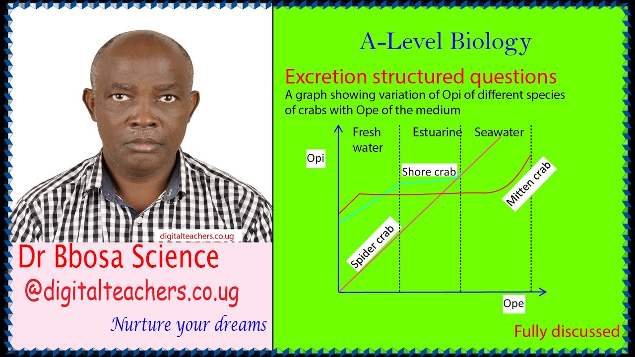 A-level biology lesson 33: Excretion structured questions by Dr. Bbosa Science