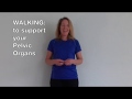 Walking for Pelvic Support