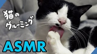 ASMRThe sound of a cat grooming #248