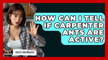 How Can I Tell If Carpenter Ants Are Active? - Insects and Invaders
