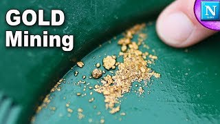 GOLD Mining In Los Angeles!! (Amazing Finds)