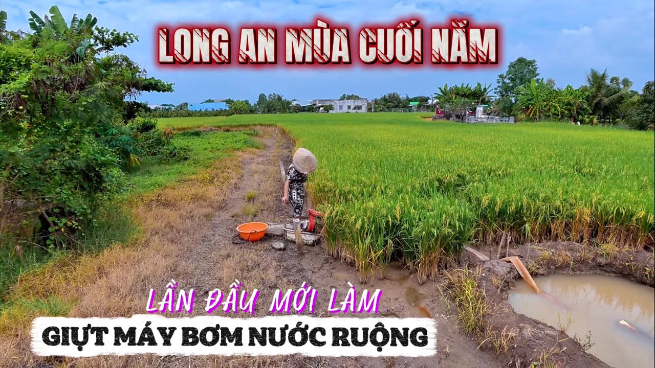 Cảnh Đường Trần văn Nghĩa Cuối Năm . Lần Đầu dựt Máy Bơm Nước Ở Ruộng Mà Nó Không Lên .